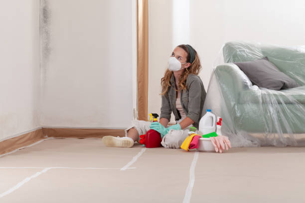 Reliable Hvac And Air Duct Mold Remediation contractor in West Olive, MI by 24 Hour Mold Removal